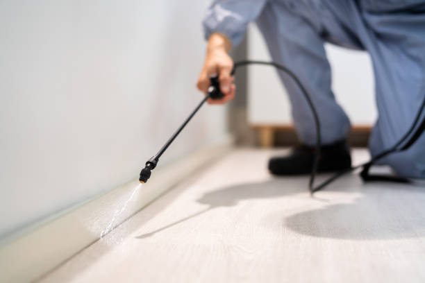 Licensed Cockroach Control service in Forest Lake, MN - Nex Pest Control