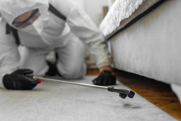 Professional Cockroach Control technician working in Forest Lake, MN