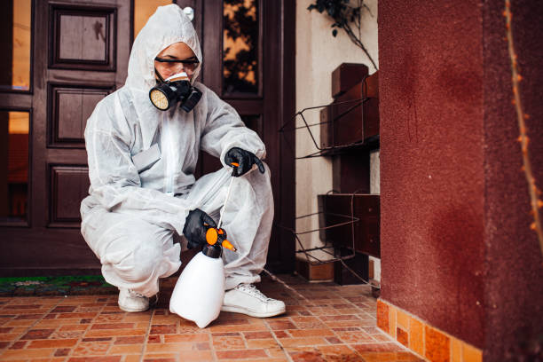 Reliable Cockroach Control contractor in Forest Lake, MN by Nex Pest Control